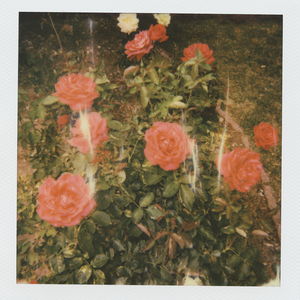 干夜摸操干干干夜
