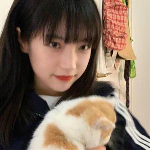 干夜摸操干干干夜
