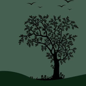 干夜摸操干干干夜
