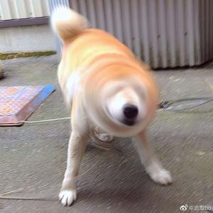 干夜摸操干干干夜
